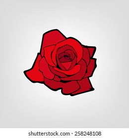 Vector isolated rose