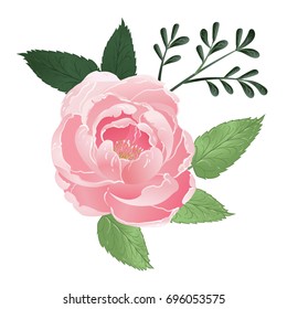 Vector isolated Rose buds with leaves. Beautiful realistic vector elements for invitation, wedding or greeting cards