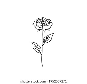 Vector isolated rose line drawing. Simple minimal graphic contour rose sketch, doodle, tattoo, pattern