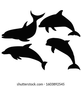 vector, isolated, sea dolphin silhouette