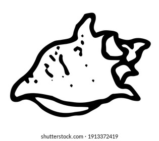 vector isolated seashell element hand drawn in doodle style black outline on white background for design template