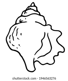 vector isolated seashell element spiral at the top with a texture of dots and lines hand drawn in a doodle style black outline on a white background for a summer design template