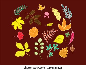 Vector isolated set of autumn leaves.