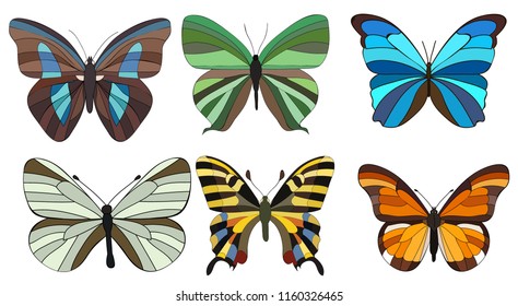 Vector Isolated Set Beautiful Butterflies Stock Vector Royalty Free Shutterstock