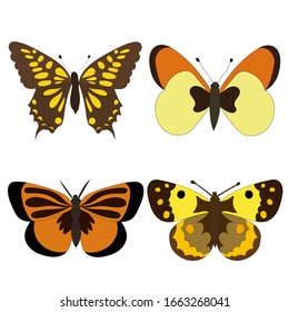 vector  isolated  set brown butterflies