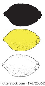 Vector Isolated set element citrus fruit LEMON outline and silhouette, black color hand-drawn whole LEMON in sketch style with dot texture and yellow image for label design template, packaging