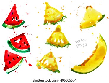 Vector isolated set of fruit slices. Drawn by watercolor