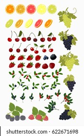 Vector isolated set of fruits and berries. Slices of orange, lemon, lime, grapes, strawberries, raspberries, blackberries, cherries, blueberries, cranberries, cranberries.