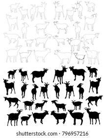 vector, isolated set of goat silhouettes, outline of goat