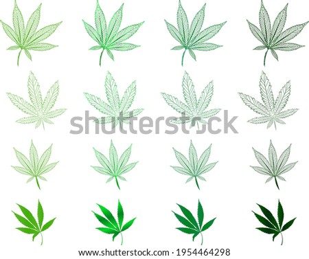 Vector Isolated Set of Hand drawn Weed Leaves, Marijuana contours leaves, Cannabis in Green tones for Logo Design, Icons, Prints, Banners or Packaging design.