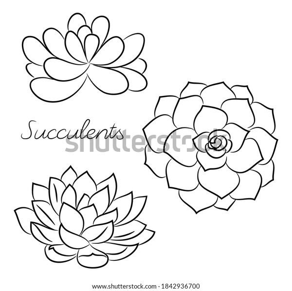 Vector Isolated Set Hand Drawn Succulents Stock Vector Royalty Free 1842936700 Shutterstock 