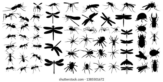 vector isolated set of insects silhouettes