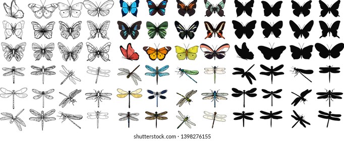 vector isolated set of multicolored butterflies and dragonflies