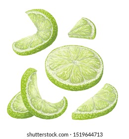 Vector isolated set of object patterns, hand-drawn harvest juicy, delicious rich wet green curly lime pieces, highlights, beautiful lime peel. Realistic, like paint. Ripe, juicy, limes, ingredient