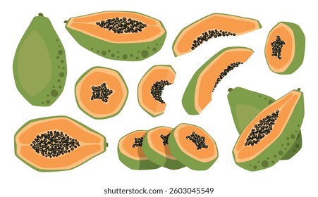 Vector isolated set of papayas, whole, half and slices