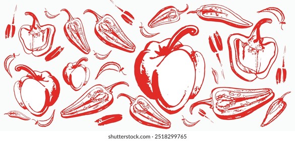 Vector isolated set of red Bulgarian sweet and bitter pepper. Red pepper. Hand drawing. Vegetable engraved style object, full, half and slices. Isolated bell pepper.	