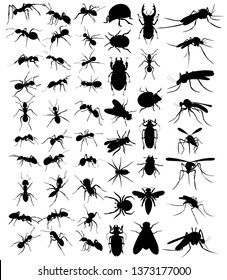 vector, isolated, set of silhouette beetles, ants, mosquitoes