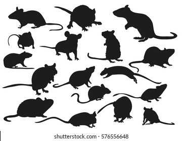 vector, isolated, set of silhouettes Mouse Rat