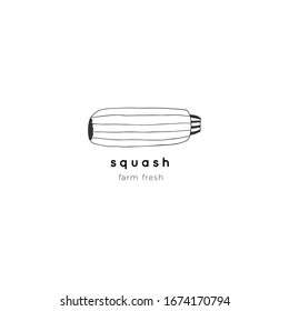 Vector isolated sguash icon. Hand drawn vegetables. Healthy nutrition vegan recipes. Farm fresh products for market label, restaurant menu, grocery store identity.