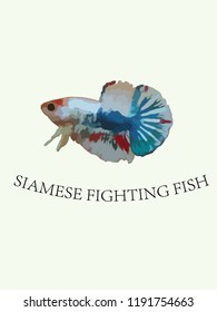 Vector of isolated Siamese fighting fish.