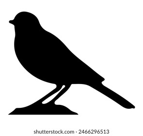 Vector, isolated silhouette of African Rock Pipit.