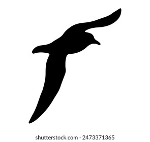 Vector, isolated silhouette of Antarctic Petrel.