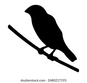 Vector, isolated silhouette of Asian Golden Weaver.