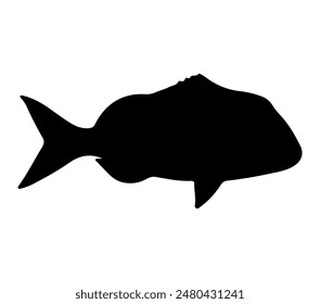 Vector, isolated silhouette of Australasian Snapper.