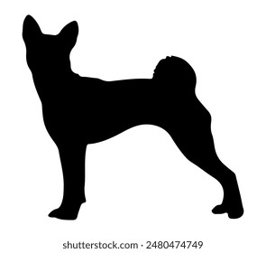 Vektorgrafik, isolierte Silhouette von Basenji Dog.