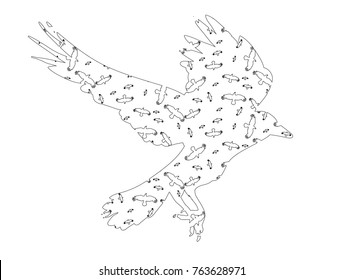 vector, isolated silhouette of a bird, crow, sketch