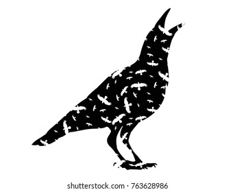 vector, isolated silhouette of a bird, crow, icon