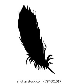 vector, isolated silhouette of bird feathers
