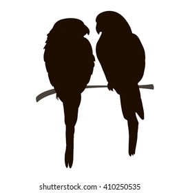 vector , isolated, silhouette of a bird , a parrot