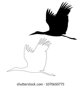 vector, isolated silhouette of the bird stork