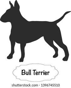 Vector isolated silhouette of Bull Terrier dog on white background.