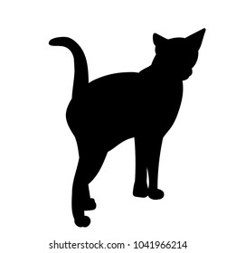 vector, isolated silhouette cat