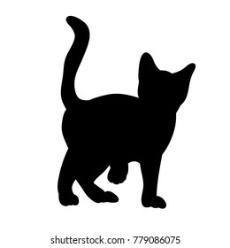 vector, isolated silhouette cat