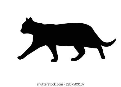 Vektor einzelne Silhouettenkatze, Logo, Typografie, dekorativer Aufkleber auf weißem Hintergrund.