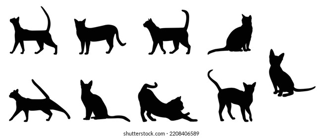 Vector isolated silhouette cat, logo, typography, decorative sticker on white background.