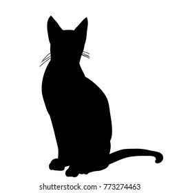 vector isolated silhouette cat sitting