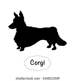 Vector isolated silhouette of Corgi dog on white background.