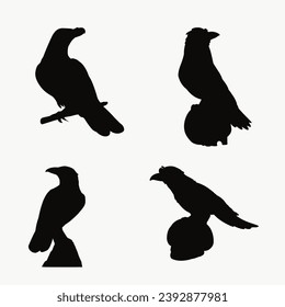 Vector, isolated silhouette of crows, crow, bird, set