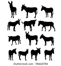vector, isolated silhouette of a donkey, collection