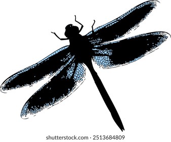 vector, isolated, silhouette dragonfly, insect