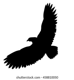 vector,  isolated, silhouette of an eagle