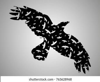 vector, isolated silhouette of flying bird