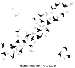 2,178 Bird flying cutout Images, Stock Photos & Vectors | Shutterstock