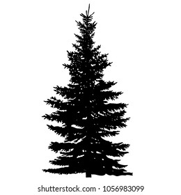 vector, isolated silhouette of a fur-tree