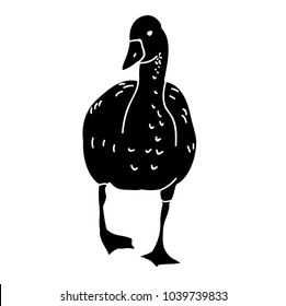 vector, isolated silhouette of geese and ducks on white background
