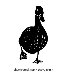 vector, isolated silhouette of geese and ducks on white background, birds